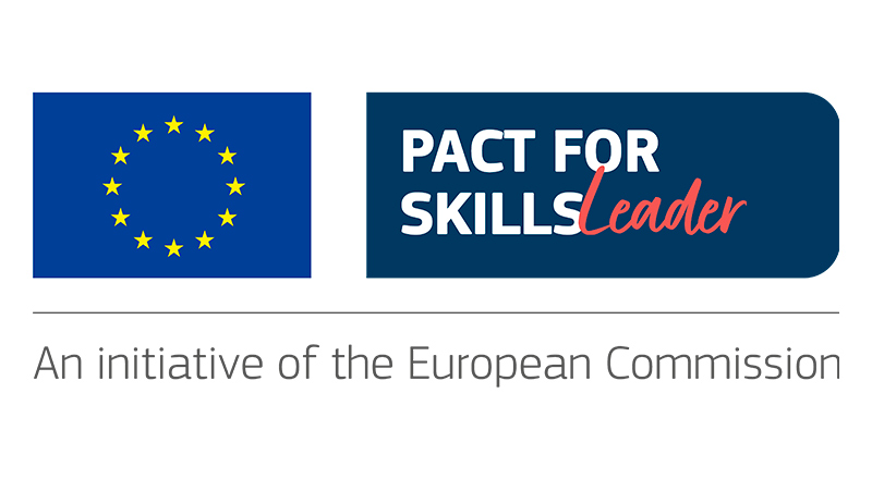 informe anual pact for skills